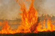 bushfires in nsw