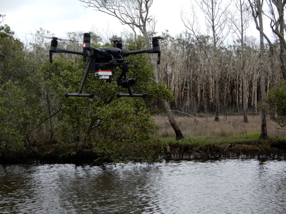 A drone is flying in front of a boat surveying the health of mangroves.