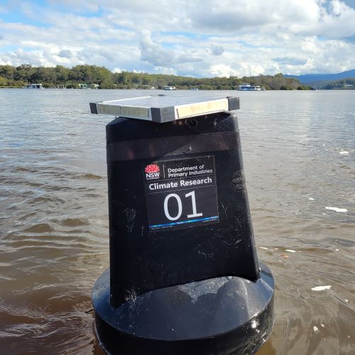 Sensor Buoy floating in the Clyde River