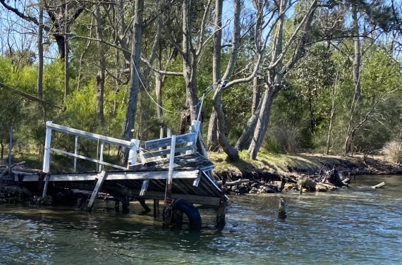 A wooden jetty is falling apart on a treed riverbank.