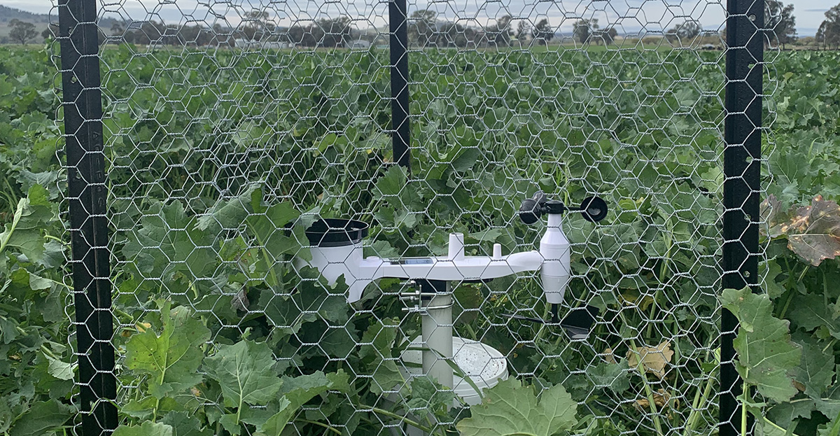 A weather station is erected in a paddock and protected by wire fencing