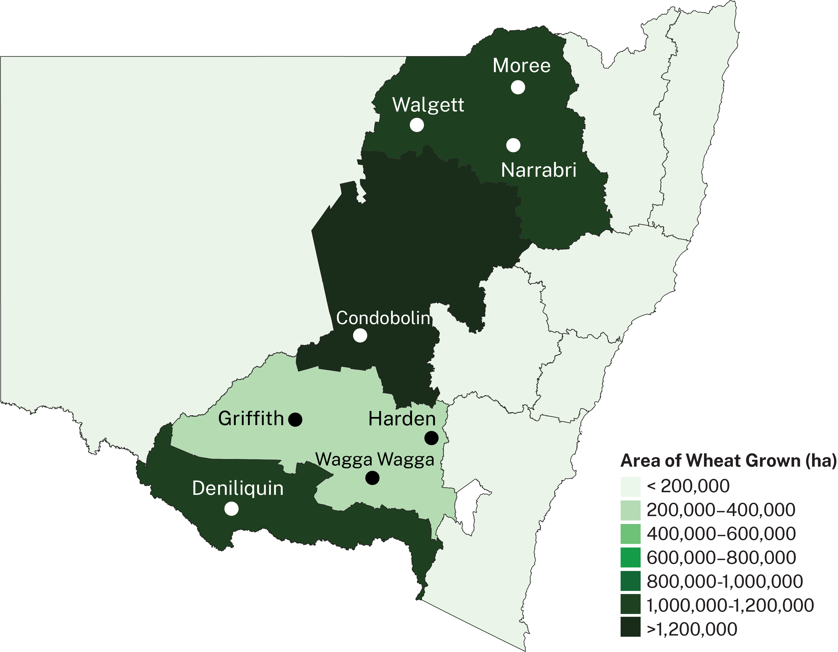 Wheat in NSW is grown in a belt west of the Great Dividing Range, stretching from Victoria to Queensland.