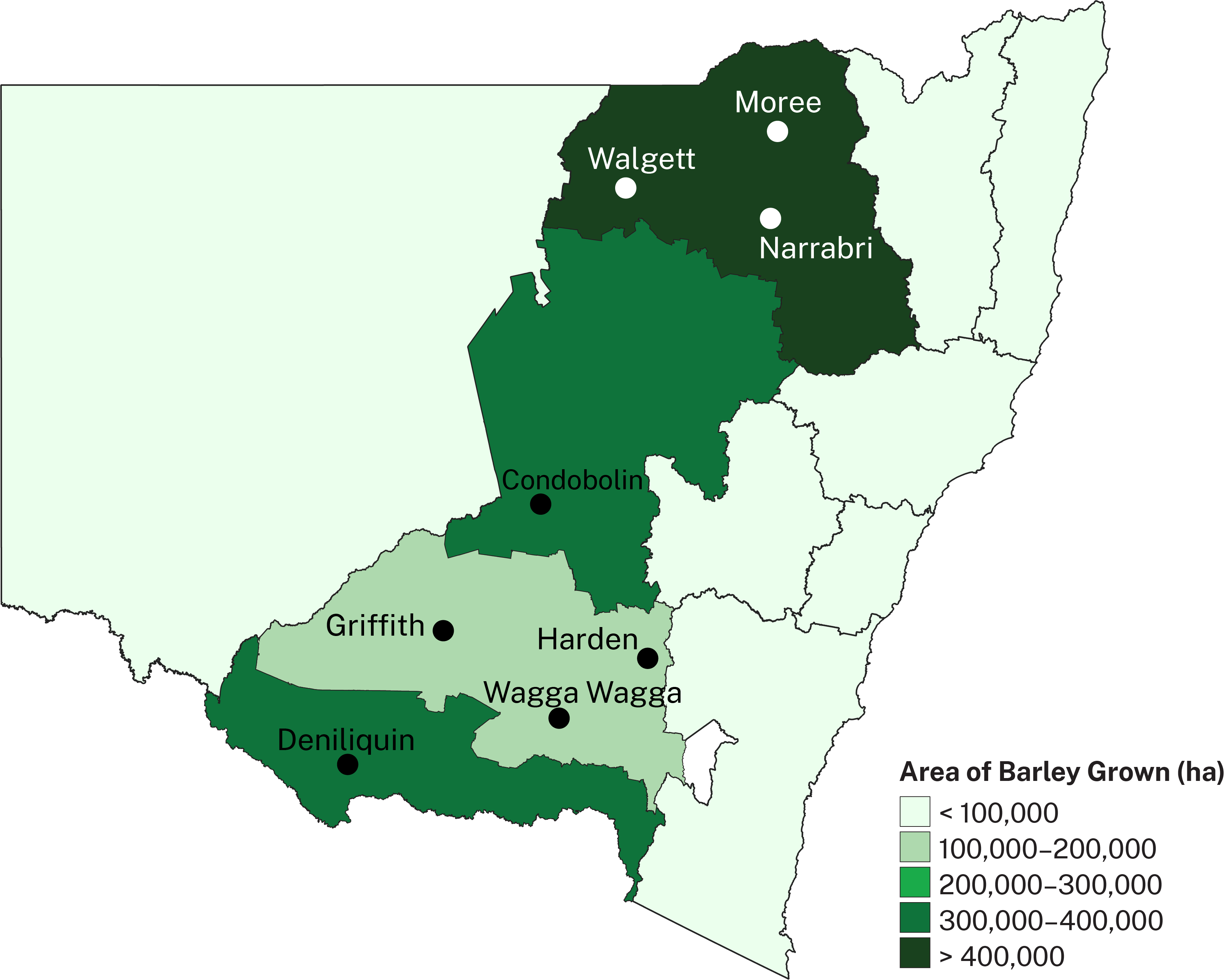 Barley in NSW is grown in a belt west of the Great Dividing Range, stretching from Victoria to Queensland.