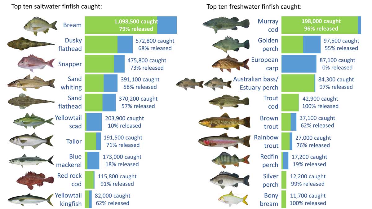 Recreational Fishing Research Surveys
