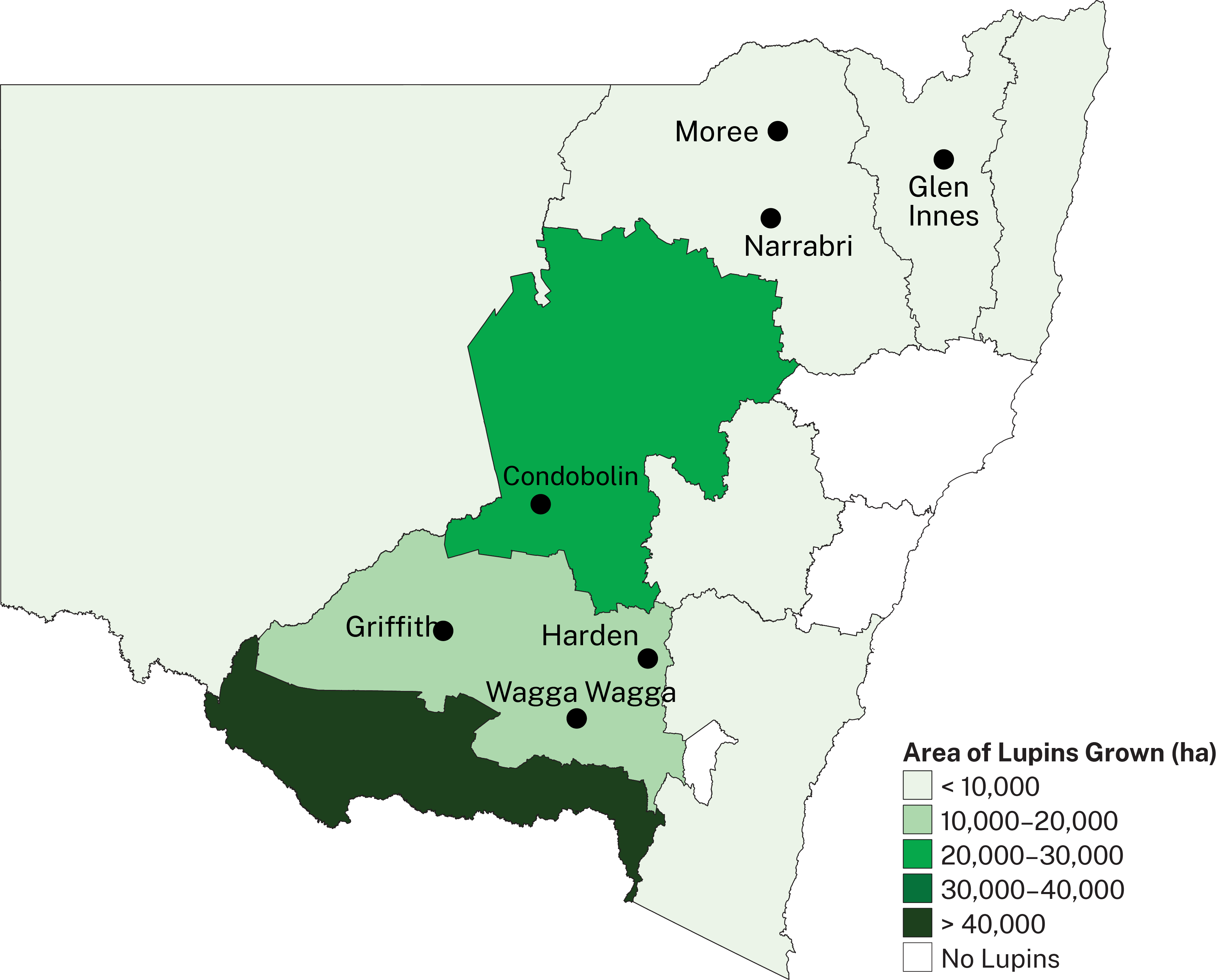 Lupin growing in NSW is concentrated in the central south of the state, extending northward west of the Great Dividing Range.