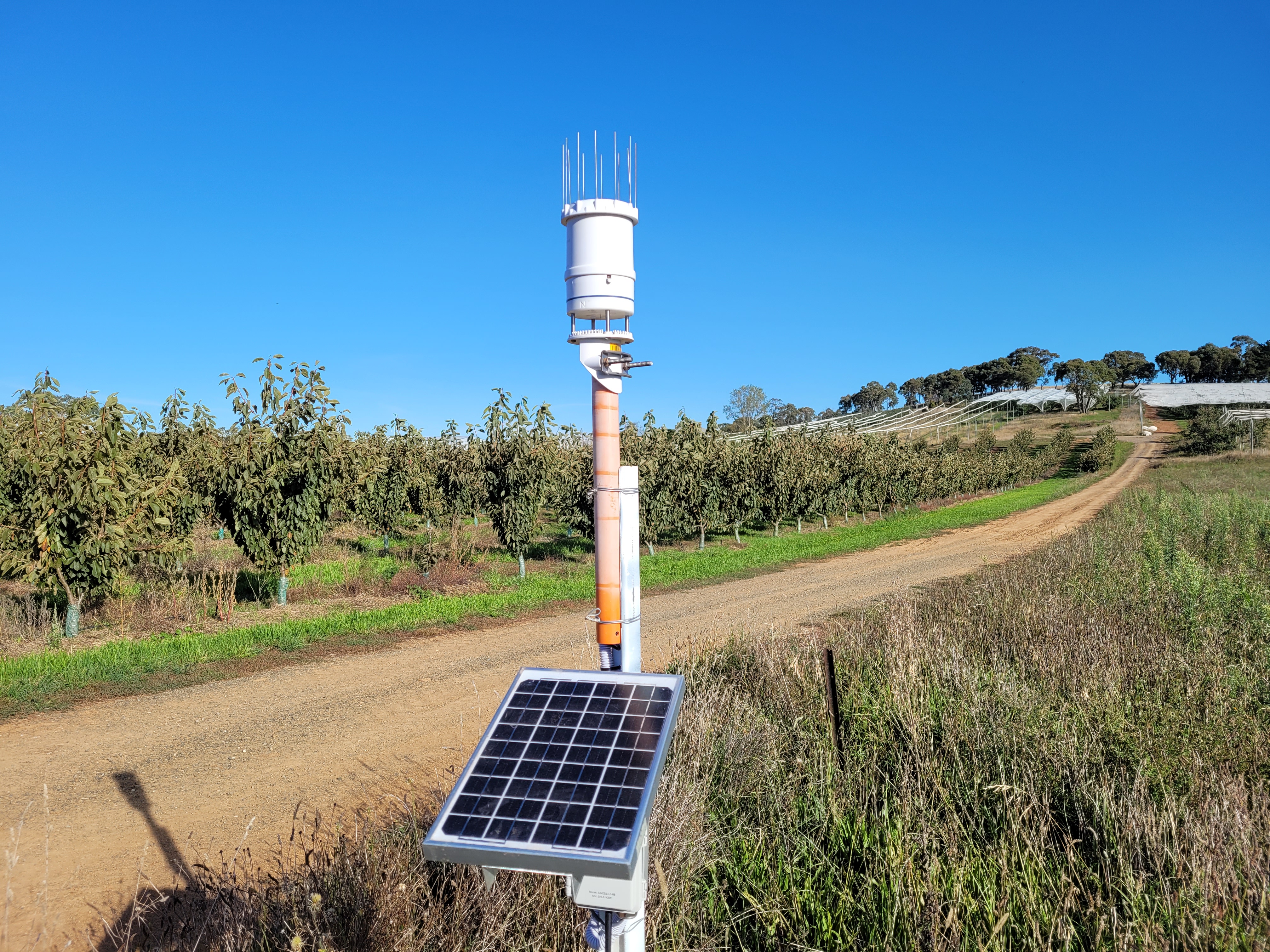 Benefits of on-farm weather stations on orchards in NSW